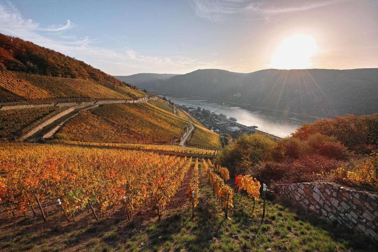 Breuer'S Ruedesheimer Schloss Rüdesheim am Rhein Dış mekan fotoğraf